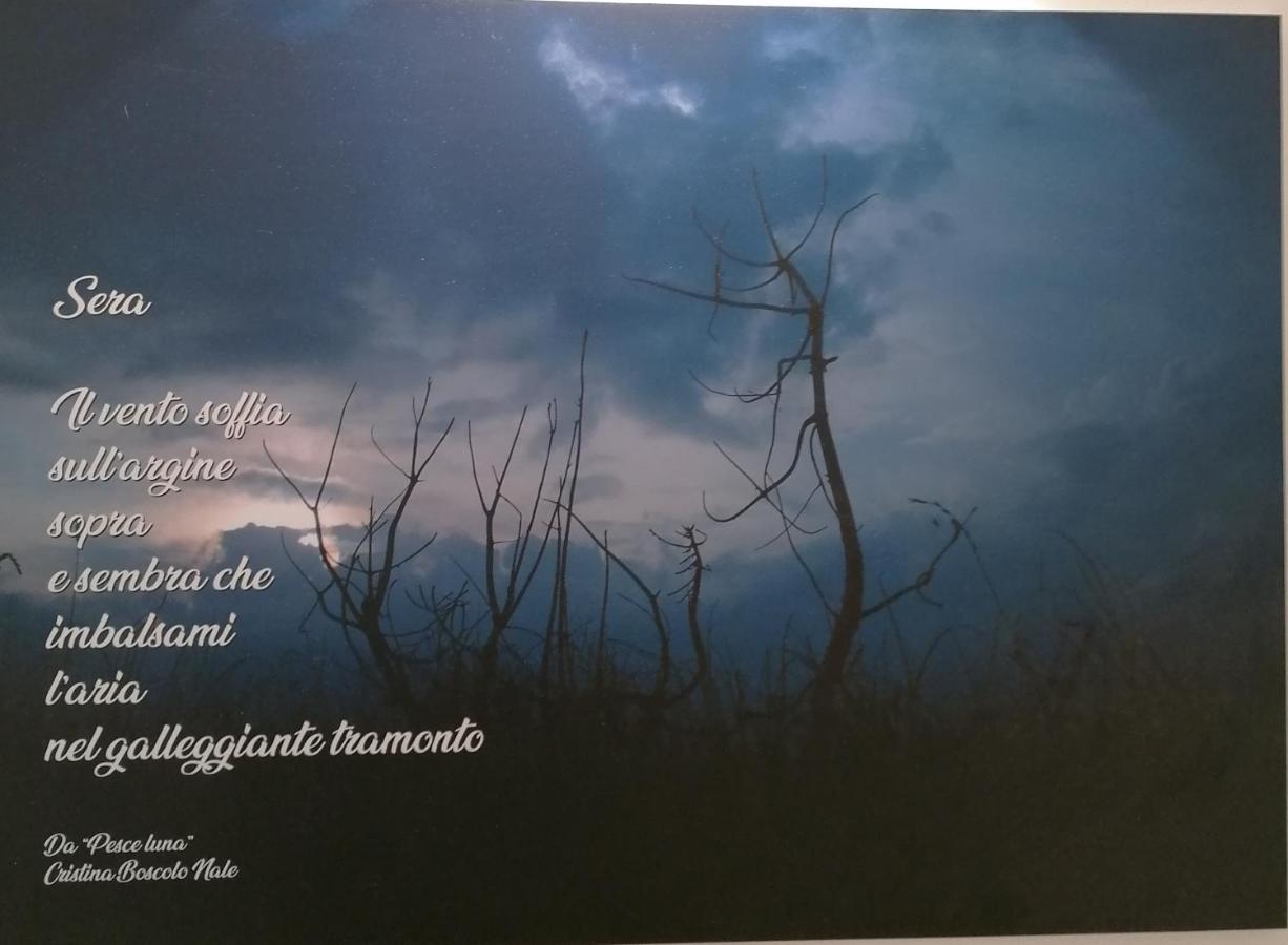 Verdepoesia Chioggia Exteriör bild